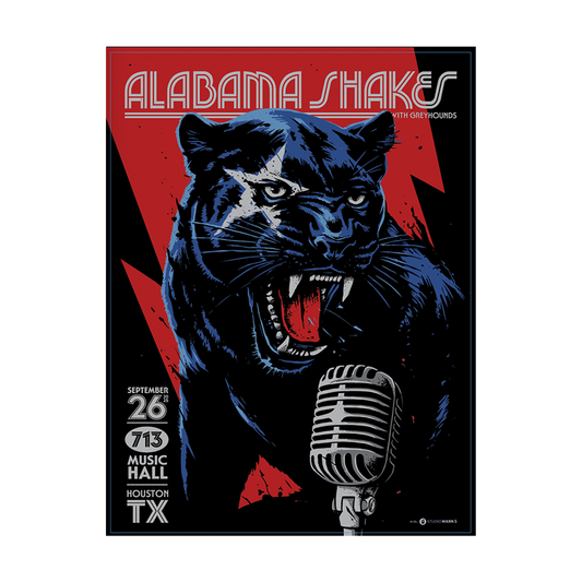 Houston TX 2025 Poster